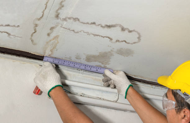 Reliable Mold Remediation contractor in Ashland City, TN by Water Damage Irwin
